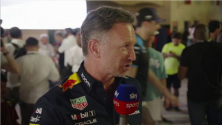 Хорнер: Пілот Red Bull виступили фантастично