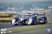 WEC: Чемпионат мира по марафонским гонкам